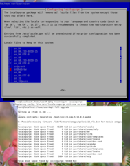 reclaim disk space by removing unneeded localizations