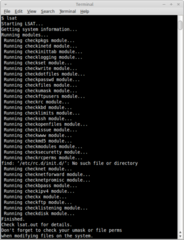 Security auditor tool