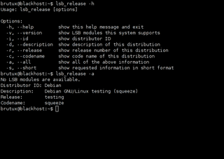 Linux Standard Base version reporting utility (minimal implementation)