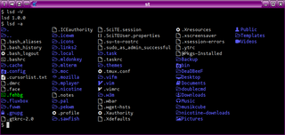 ls command with a lot of pretty colors and some other stuff
