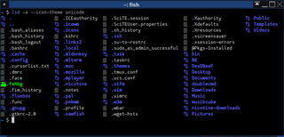 ls command with a lot of pretty colors and some other stuff