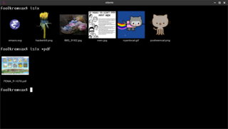 Show thumbnails in terminal using sixel graphics
