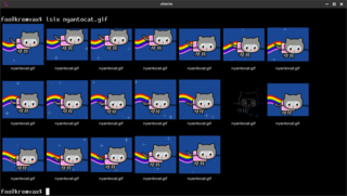 Show thumbnails in terminal using sixel graphics