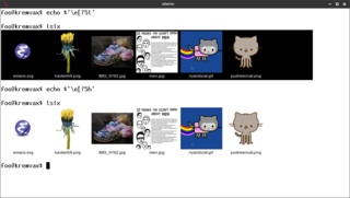 Show thumbnails in terminal using sixel graphics