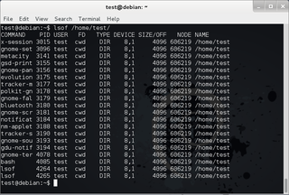 utility to list open files