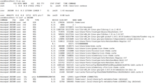 utility to list open files