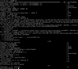 Tracks runtime library calls in dynamically linked programs