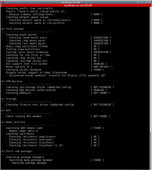 su-to-root -c '/usr/sbin/lynis audit system --no-colors'