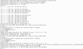 recover files by looking for magic bytes