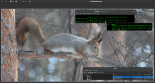 takes screenshots of your desktop