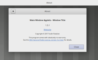 displays the title of the active window in the panel