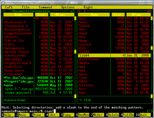 Midnight Commander - a powerful file manager