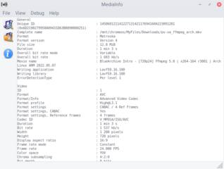 graphical utility for reading information from audio/video files