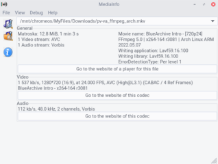graphical utility for reading information from audio/video files