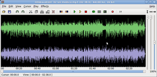 Simple and fast GTK2 sound editor