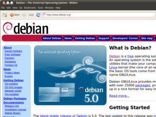 Midori in Ubuntu 10.04