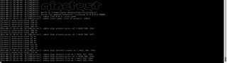 Screenshot of server output