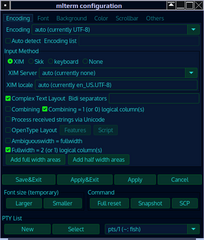 MultiLingual TERMinal
