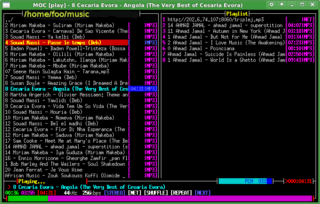 ncurses based console audio player 