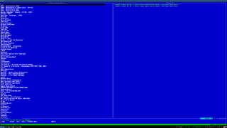 ncurses based console audio player