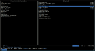 ncurses based console audio player