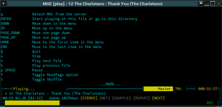 ncurses based console audio player
