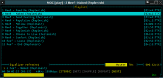 ncurses based console audio player