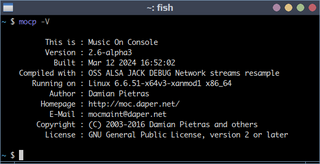 ncurses based console audio player