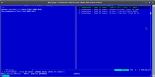 ncurses based console audio player