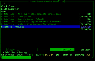 ncurses based console audio player