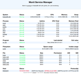 utility for monitoring and managing daemons or similar programs