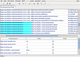 editor view of the package's metadata