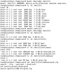 mount USB-flash with Debian Stable Hybrid (iso to usb by dd)
