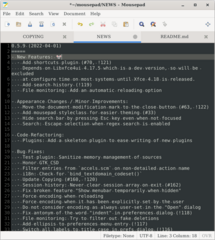 simple Xfce oriented text editor