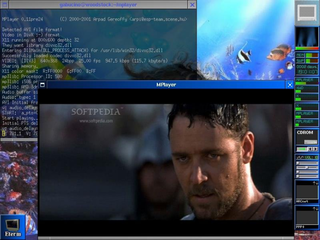 movie player for Unix-like systems