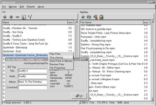 mp3 player manager for mpman F50/F60