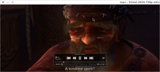 video player based on MPlayer/mplayer2