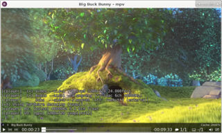 video player based on MPlayer/mplayer2