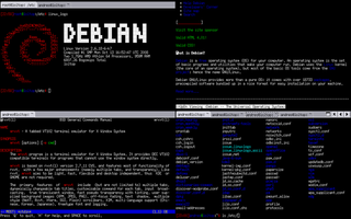 lightweight multi-tabbed X terminal emulator - minimalistic version