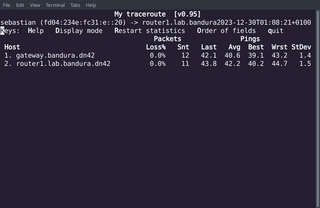 Full screen ncurses and X11 traceroute tool