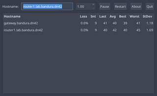 Full screen ncurses and X11 traceroute tool