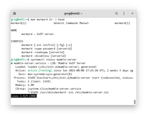 Low latency encrypted VoIP server
