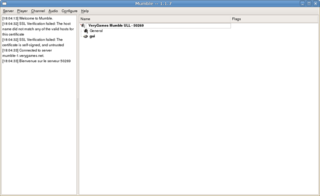 Low latency encrypted VoIP client