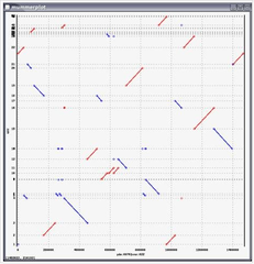 Efficient sequence alignment of full genomes