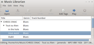 A simple GUI tool to organize collections of music