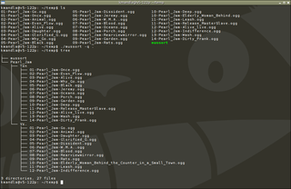 simple tool that sorts a music collection