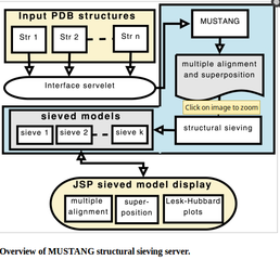 multiple structural alignment of proteins