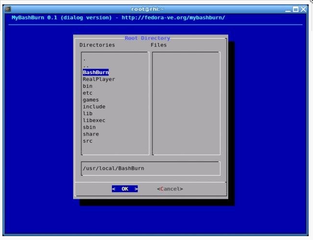 Burn data and create songs with interactive dialog box
