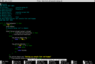 GNU nano in action (shell script)