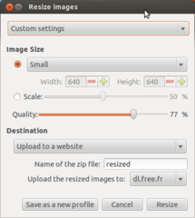 Using custom settings to resize images